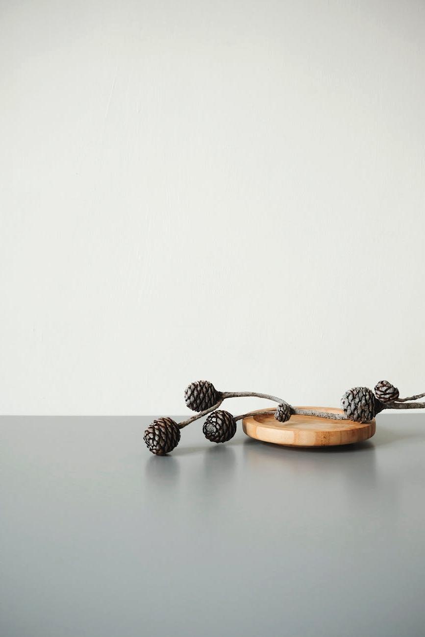 Traditional still life setup with fruit and vase